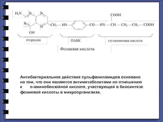 Антибактериальное действие сульфаниламидов основано на том, что они являются антиметаболитами по отношению