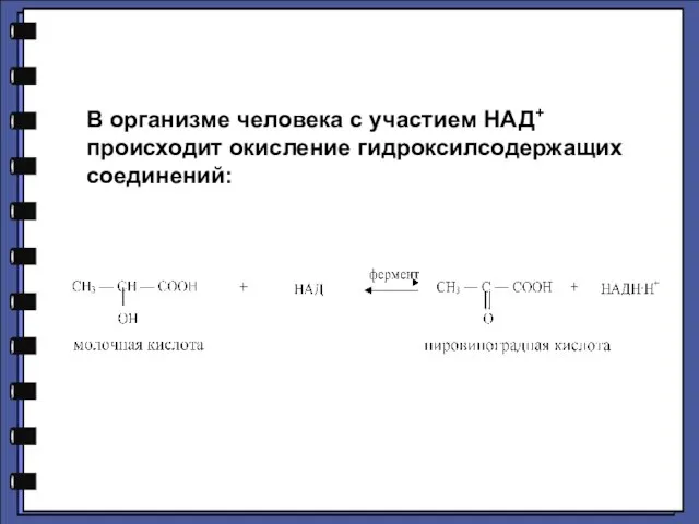 В организме человека с участием НАД+ происходит окисление гидроксилсодержащих соединений: