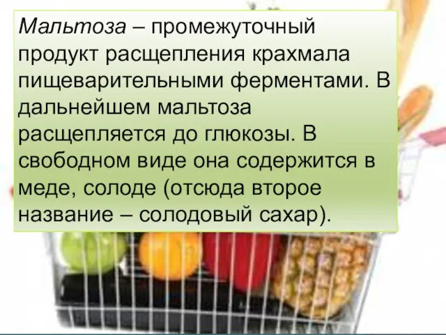 Мальтоза – промежуточный продукт расщепления крахмала пищеварительными ферментами. В дальнейшем мальтоза расщепляется