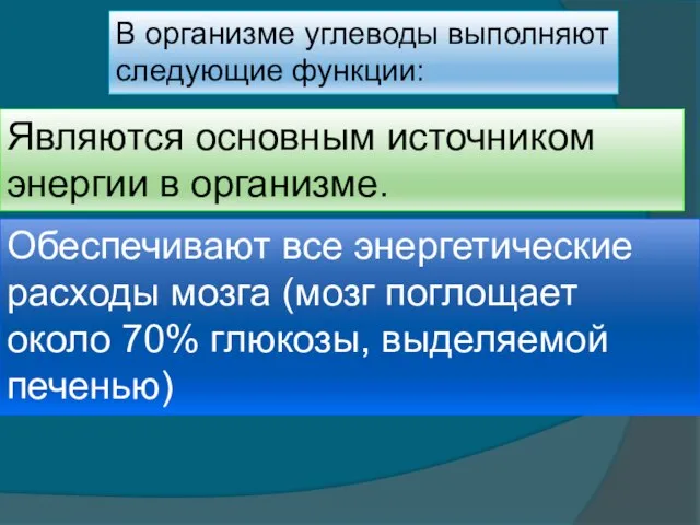 В организме углеводы выполняют следующие функции: Являются основным источником энергии в организме.