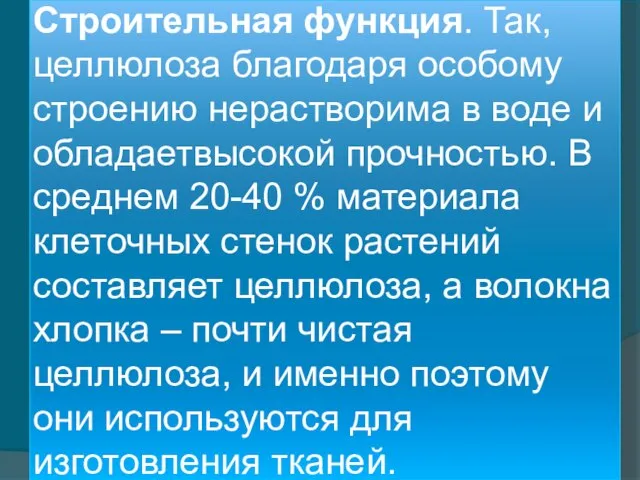 Строительная функция. Так, целлюлоза благодаря особому строению нерастворима в воде и обладаетвысокой