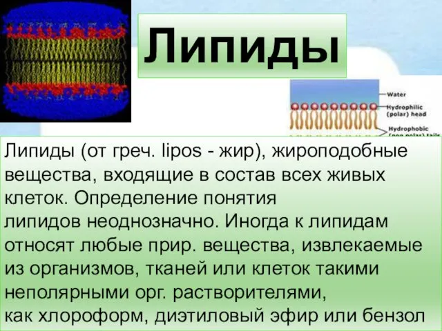 Липиды Липиды (от греч. lipos - жир), жироподобные вещества, входящие в состав