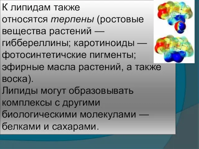 К липидам также относятся терпены (ростовые вещества растений — гиббереллины; каротиноиды —