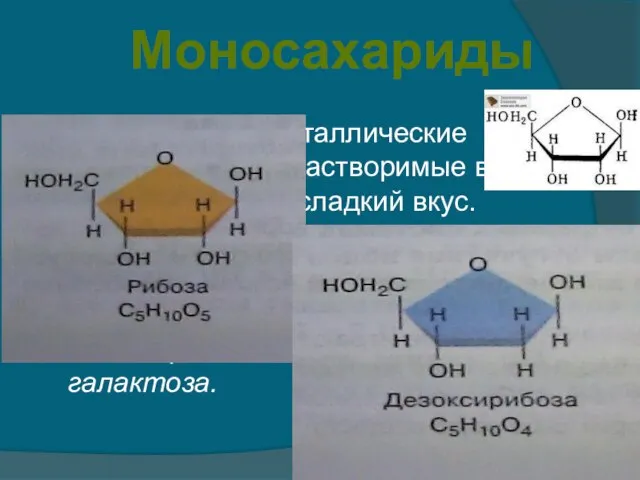 Бесцветные, кристаллические вещества, легко растворимые в воде и имеющие сладкий вкус. Наибольшее