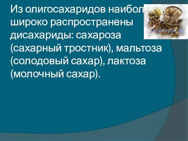 Из олигосахаридов наиболее широко распространены дисахариды: сахароза (сахарный тростник), мальтоза (солодовый сахар), лактоза (молочный сахар).