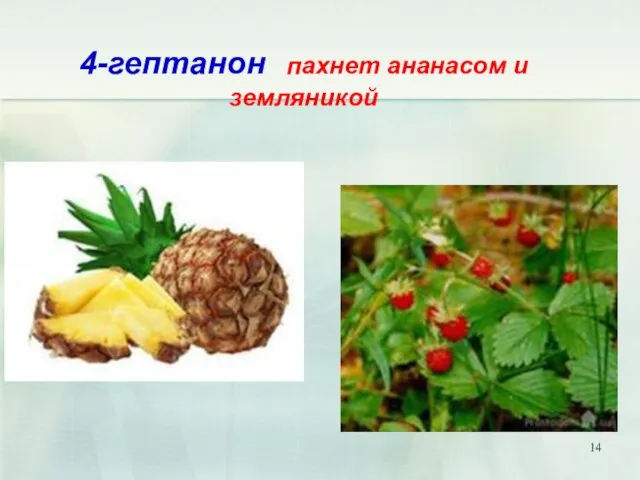 4-гептанон пахнет ананасом и земляникой