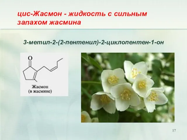 3-метил-2-(2-пентенил)-2-циклопентен-1-он цис-Жасмон - жидкость с сильным запахом жасмина
