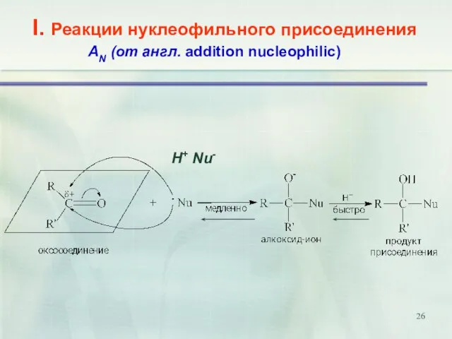I. Реакции нуклеофильного присоединения АN (от англ. addition nucleophilic) H+ Nu-
