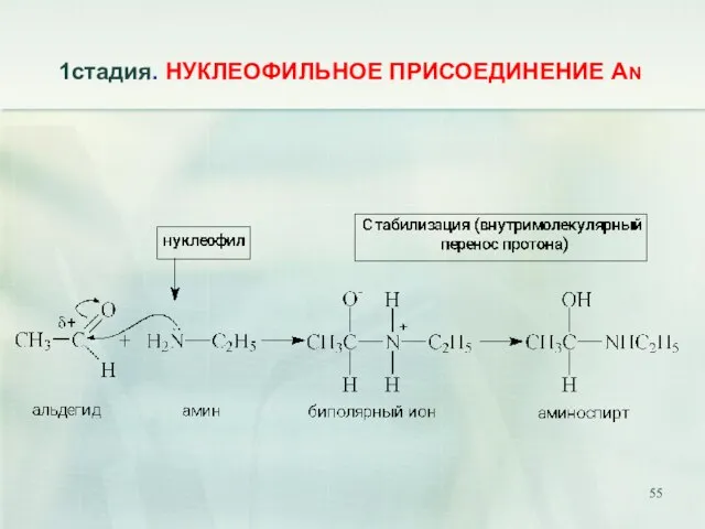 1стадия. НУКЛЕОФИЛЬНОЕ ПРИСОЕДИНЕНИЕ AN