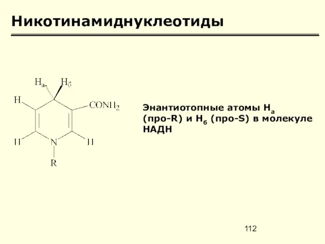 Никотинамиднуклеотиды Энантиотопные атомы Hа (про-R) и Нб (про-S) в молекуле НАДН