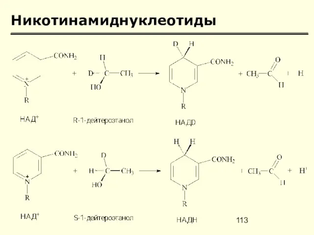 Никотинамиднуклеотиды