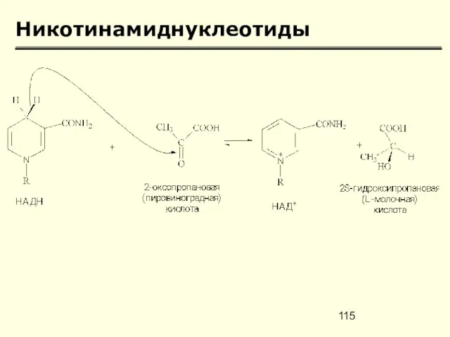 Никотинамиднуклеотиды