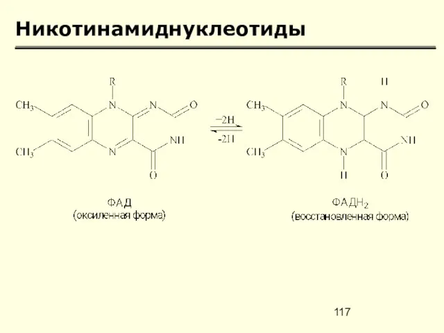 Никотинамиднуклеотиды