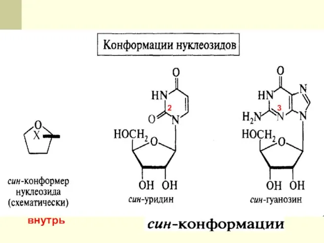 внутрь 2 3