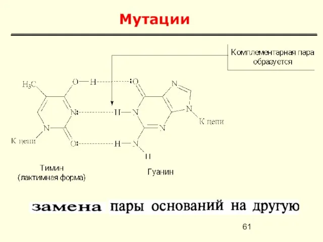 Мутации