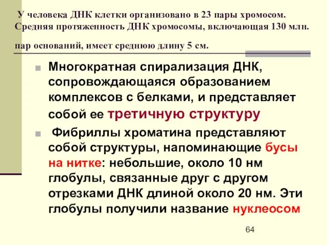 У человека ДНК клетки организовано в 23 пары хромосом. Средняя протяженность ДНК