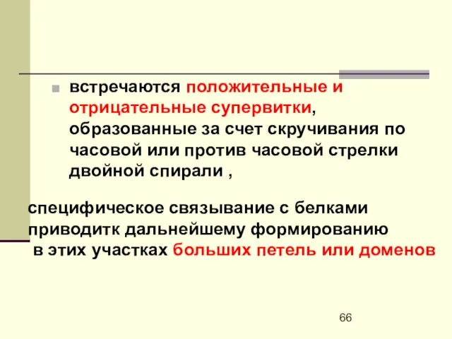 встречаются положительные и отрицательные супервитки, образованные за счет скручивания по часовой или