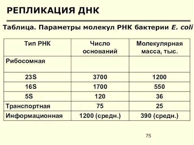 РЕПЛИКАЦИЯ ДНК Таблица. Параметры молекул РНК бактерии Е. соli