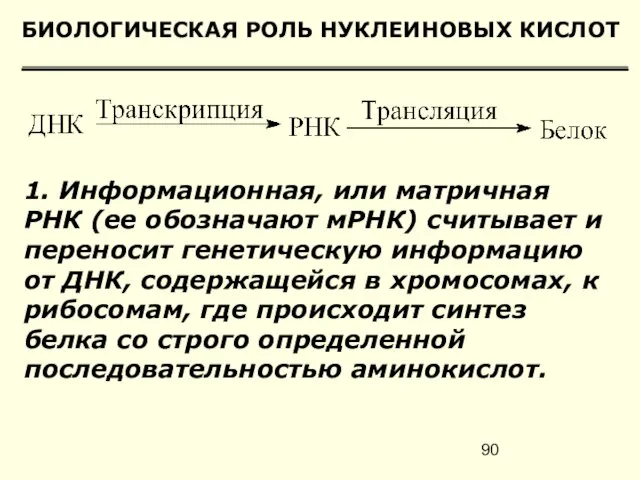 БИОЛОГИЧЕСКАЯ РОЛЬ НУКЛЕИНОВЫХ КИСЛОТ 1. Информационная, или матричная РНК (ее обозначают мРНК)