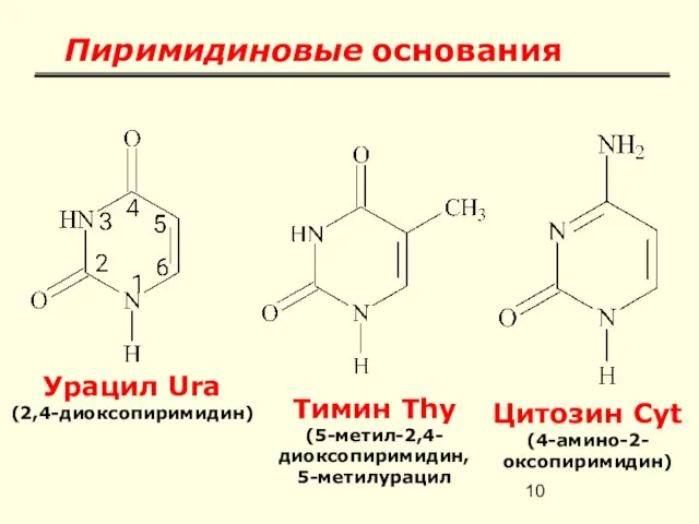 Пиримидиновые основания Урацил Ura (2,4-диоксопиримидин) Тимин Thy (5-метил-2,4-диоксопиримидин, 5-метилурацил Цитозин Cyt (4-амино-2-оксопиримидин)