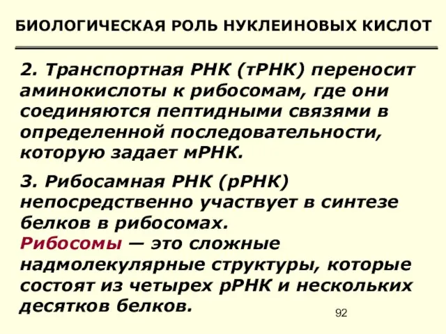 БИОЛОГИЧЕСКАЯ РОЛЬ НУКЛЕИНОВЫХ КИСЛОТ 2. Транспортная РНК (тРНК) переносит аминокислоты к рибосомам,