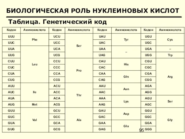 БИОЛОГИЧЕСКАЯ РОЛЬ НУКЛЕИНОВЫХ КИСЛОТ Таблица. Генетический код