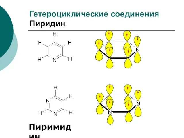 Гетероциклические соединения Пиридин Пиримидин