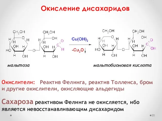 Окисление дисахаридов мальтоза мальтобионовая кислота Окислители: Реактив Фелинга, реактив Толленса, бром и