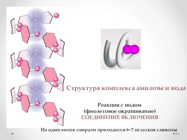 Структура комплекса амилозы и иода Реакция с иодом (фиолетовое окрашивание) СОЕДИНЕНИЕ ВКЛЮЧЕНИЯ