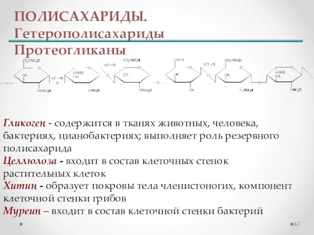 ПОЛИСАХАРИДЫ. Гетерополисахариды Протеогликаны Гликоген - содержится в тканях животных, человека, бактериях, цианобактериях;