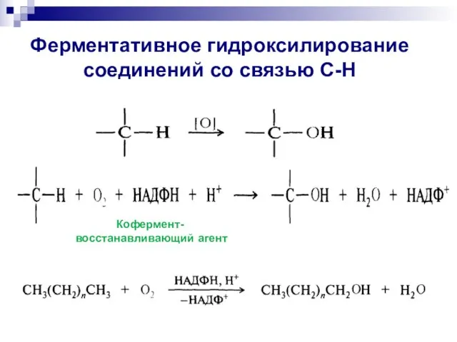 Ферментативное гидроксилирование соединений со связью С-Н Кофермент- восстанавливающий агент