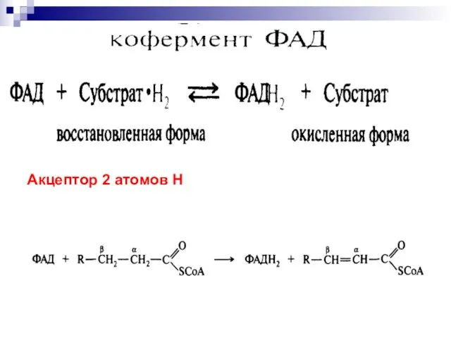 Акцептор 2 атомов Н