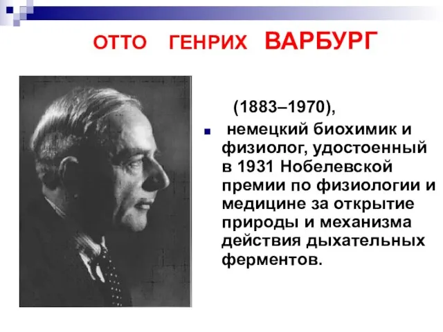 ОТТО ГЕНРИХ ВАРБУРГ (1883–1970), немецкий биохимик и физиолог, удостоенный в 1931 Нобелевской