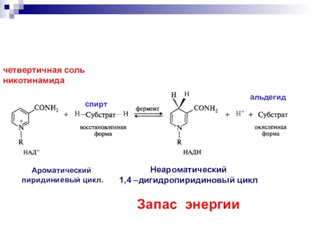 Ароматический пиридиниевый цикл. Неароматический 1,4 –дигидропиридиновый цикл Запас энергии четвертичная соль никотинамида спирт альдегид
