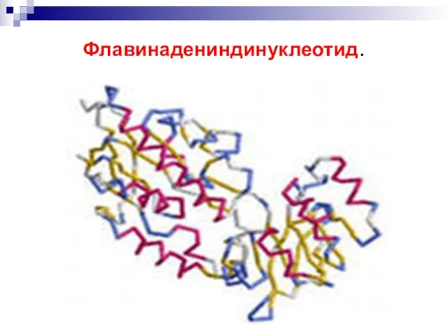 Флавинадениндинуклеотид.