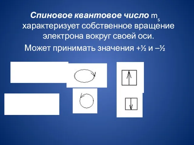 Спиновое квантовое число ms характеризует собственное вращение электрона вокруг своей оси. Может