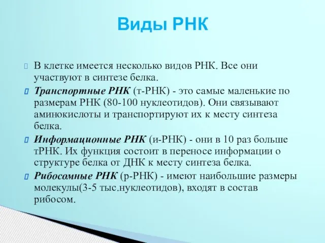 В клетке имеется несколько видов РНК. Все они участвуют в синтезе белка.