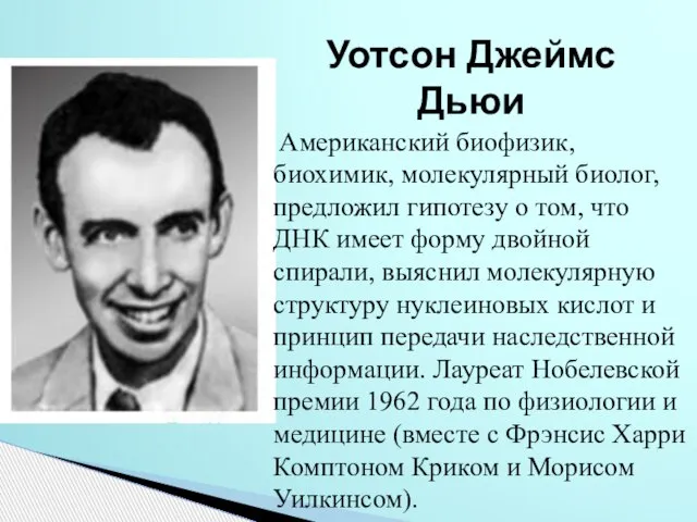 Уотсон Джеймс Дьюи Американский биофизик, биохимик, молекулярный биолог, предложил гипотезу о том,