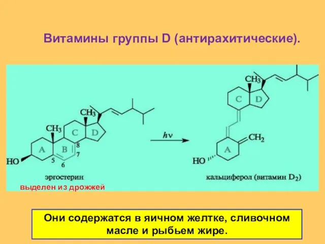 Витамины группы D (антирахитические). выделен из дрожжей Они содержатся в яичном желтке,