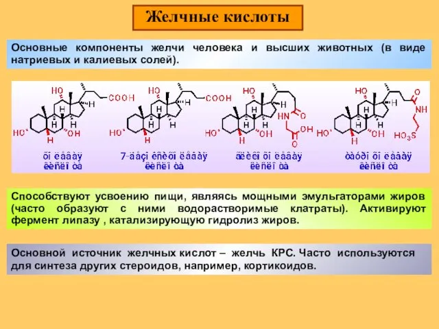 Желчные кислоты Основные компоненты желчи человека и высших животных (в виде натриевых