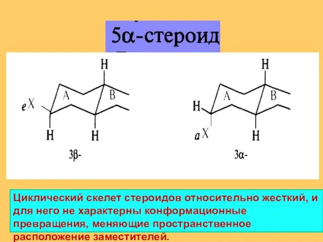 Циклический скелет стероидов относительно жесткий, и для него не характерны конформационные превращения, меняющие пространственное расположение заместителей.