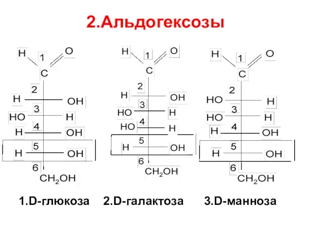 2.Альдогексозы 1.D-глюкоза 2.D-галактоза 3.D-манноза