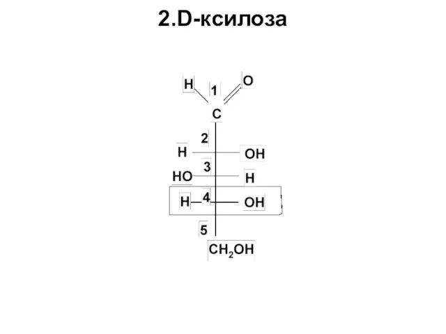 2.D-ксилоза