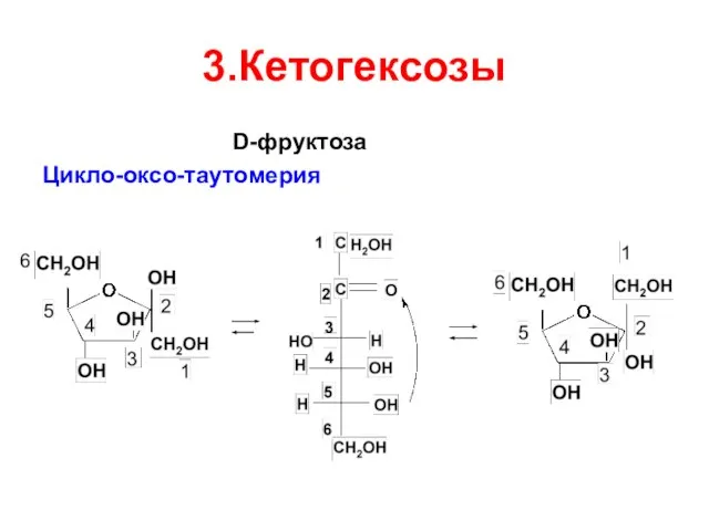 3.Кетогексозы D-фруктоза Цикло-оксо-таутомерия
