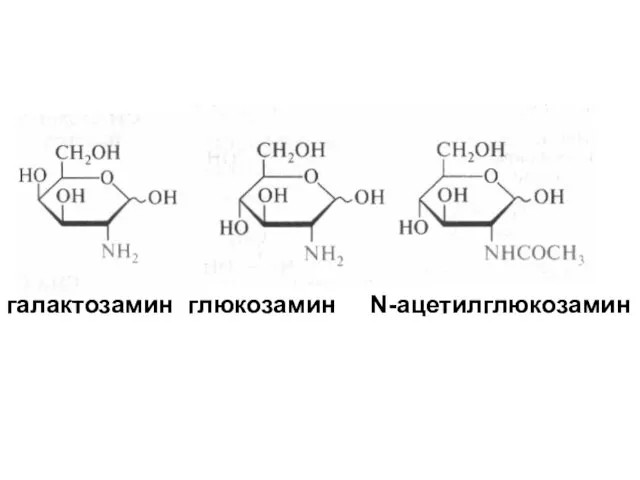галактозамин глюкозамин N-ацетилглюкозамин