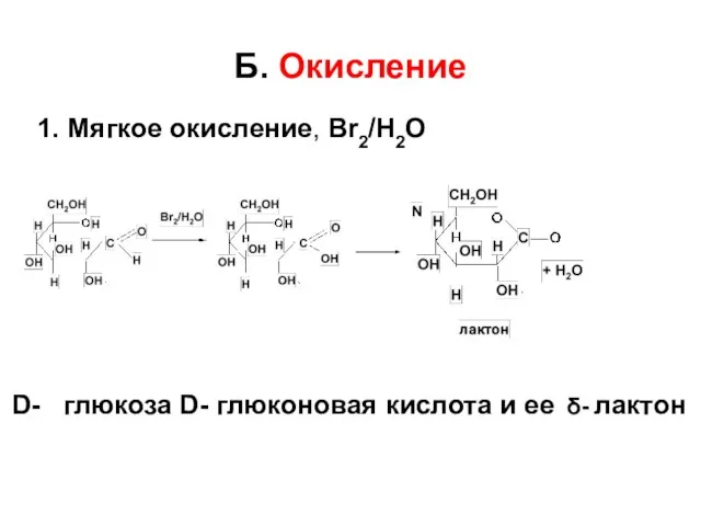 Б. Окисление 1. Мягкое окисление, Br2/H2O D- глюкоза D- глюконовая кислота и ее δ- лактон