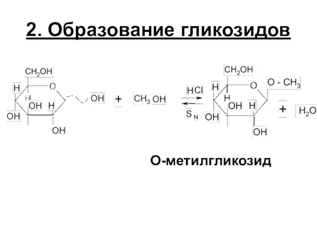 2. Образование гликозидов О-метилгликозид