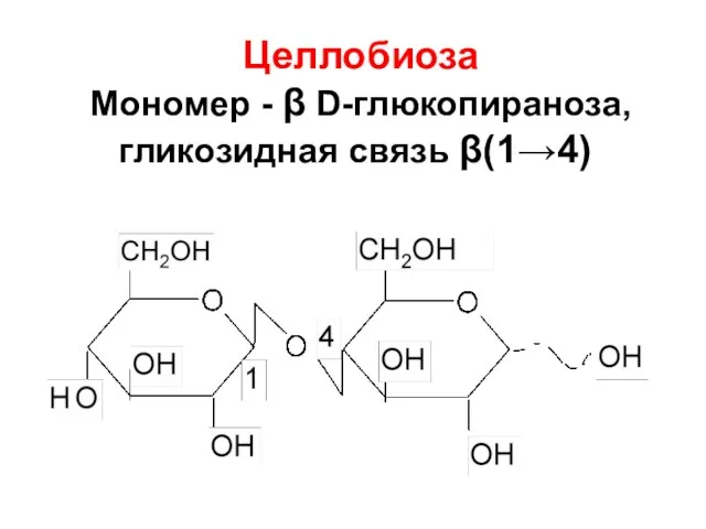 Целлобиоза Мономер - β D-глюкопираноза, гликозидная связь β(1→4)