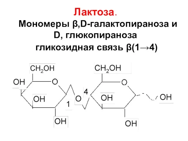 Лактоза. Мономеры β,D-галактопираноза и D, глюкопираноза гликозидная связь β(1→4)