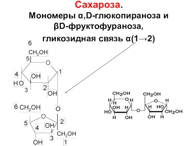 Сахароза. Мономеры α,D-глюкопираноза и βD-фруктофураноза, гликозидная связь α(1→2)